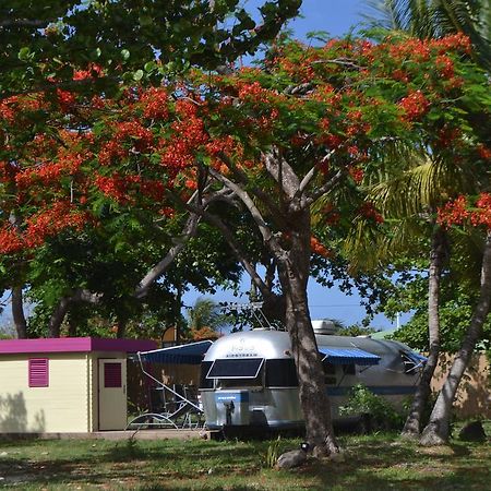 Airstream Paradise Bernard ภายนอก รูปภาพ