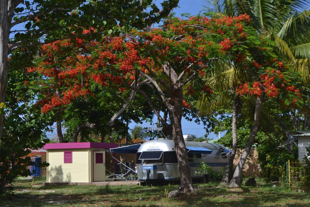 Airstream Paradise Bernard ภายนอก รูปภาพ